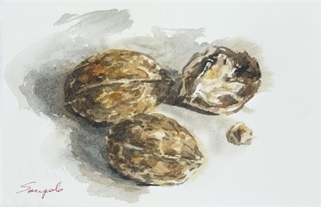 Claudia Rossi di Sanpolo (1967), "Noci", 2025, Acquerello su carta spessa di...