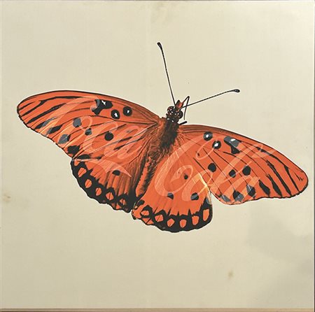 PEP MARCHEGIANI, "Natural adv", 2017