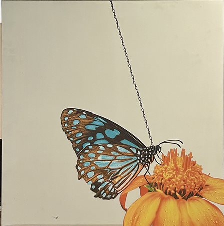 PEP MARCHEGIANI, "A catena", 2017