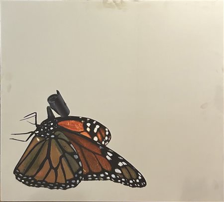 PEP MARCHEGIANI, "Buttercam", 2017