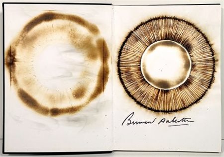 Bernard Aubertin “Livre Brûlé Rosenberg”