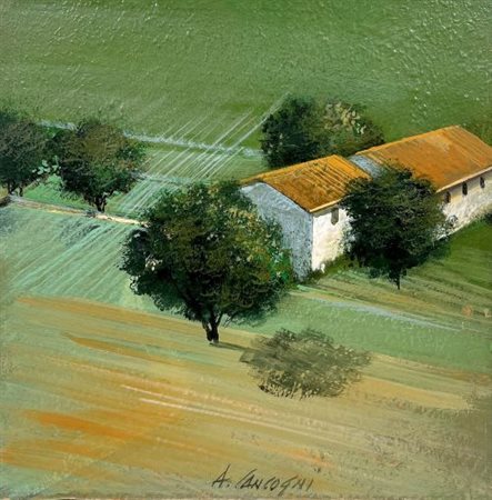 Agostino Cancogni “Campagna” 2018