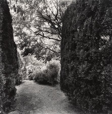 Joan Fontcuberta (1955)  - Senza titolo, 1980s