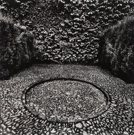 Joan Fontcuberta (1955)  - Senza Titolo, 1979