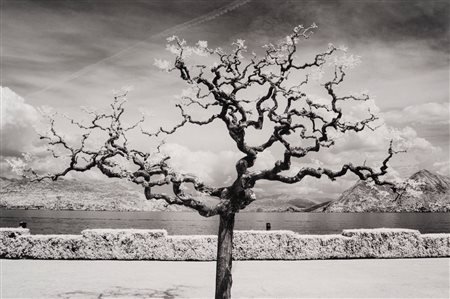 Claudio Argentiero (1962)  - Stresa, Lago Maggiore, 2016