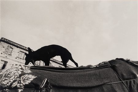 Antonio Biasucci (1961)  - Senza titolo, 1986