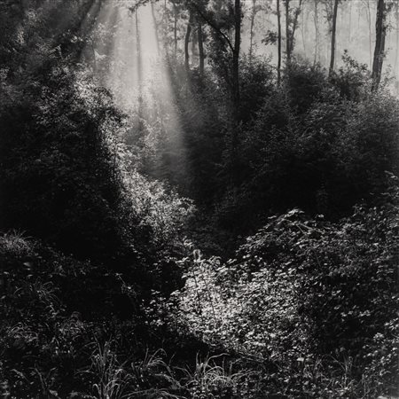 Stanislao Farri (1924 - 2021)  - Strada villa Minozzo-Quara con Wanda, 1998