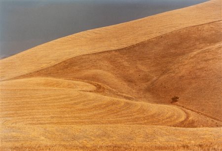 Franco Fontana (1933)  - Landscape, 1977