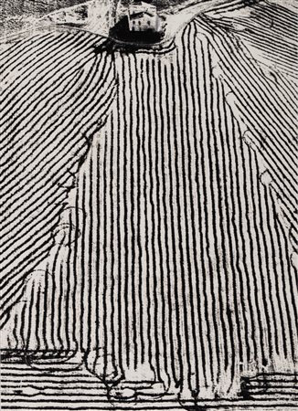 Mario Giacomelli (1925 - 2000)  - Presa di coscienza sulla natura, 1975/1985