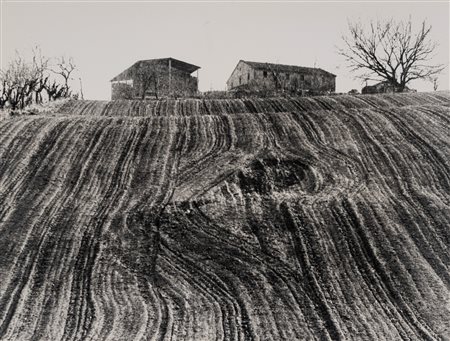 Mario Giacomelli (1925 - 2000)  - Presa di coscienza sulla natura, 1975/1985