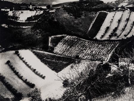 Mario Giacomelli (1925 - 2000)  - Presa di coscienza sulla natura, 1975/1985