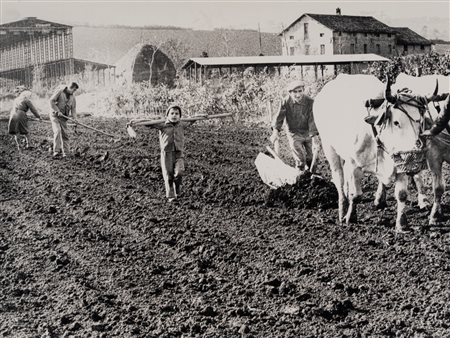 Mario Giacomelli (1925 - 2000)  - La Buona Terra, 1964/1966