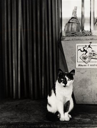 Francesco Giovannini (XX sec.)  - Il gatto, 1960s