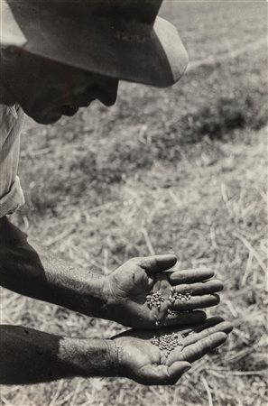 Riccardo Moncalvo (1915 - 2008)  - Senza titolo (Agricoltore), 1940s/1950s