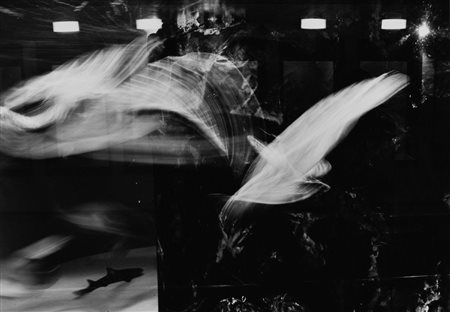 Francesco Radino (1947 - 2022)  - Hamanda, 1999