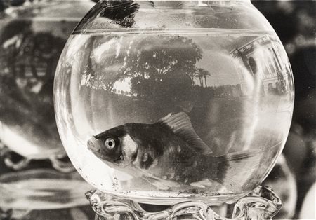 Fulvio Ventura (1941 - 2020)  - Senza titolo, 1970s/1980s