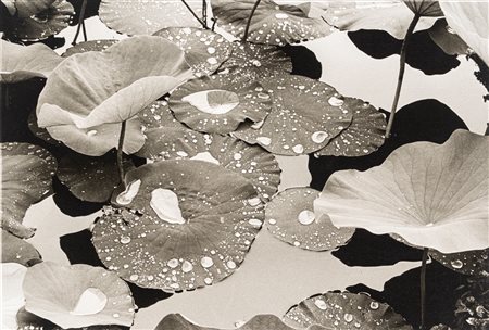 Fulvio Ventura (1941 - 2020)  - Senza titolo, 1970s/1980s