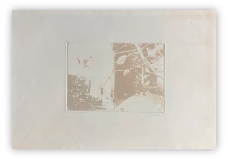 BIRGIT SKIOLD (1923-1982) - Pale persimon