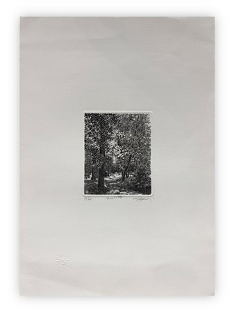 AGOSTINO ZALIANI (1932) - Boschetto