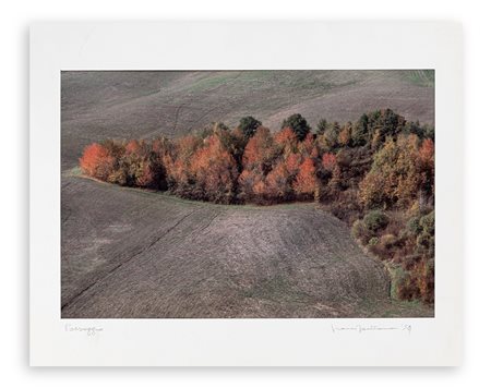 FRANCO FONTANA (1933)  - Paesaggio, 1994