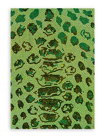 CARLO PASINI (1972)  - Mutazione, 2006