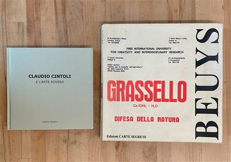 JOSEPH BEUYS - Joseph Beuys / Grassello CA (OH)2 + H2O - Difesa della natura, 1991