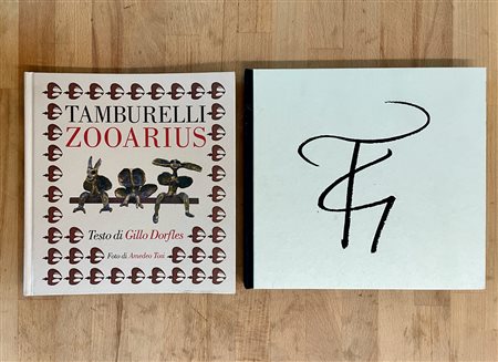 CATALOGHI CON DISEGNO (GIOVANNI TAMBURELLI) - Giovanni Tamburelli. Io sono un Camaleonte, 2003