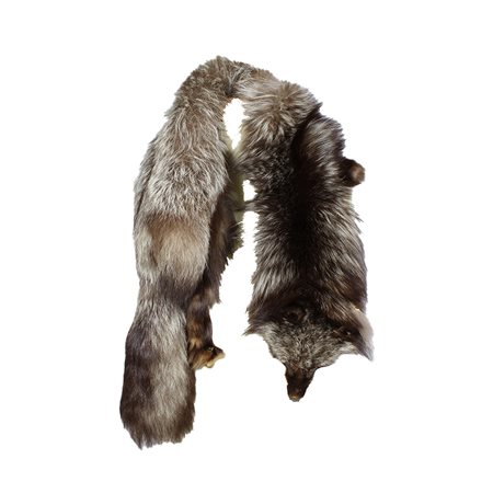 COLLO IN VOLPE ARGENTATA NATURALE