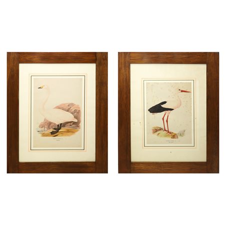N°2 Stampe con volatili, 19th century 1838