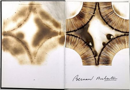 Bernard Aubertin “Livre Brûlé Rosenberg” 2010