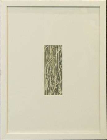 MARIO DELUIGI, anni '70