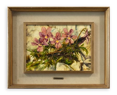 VERA SOBOTKA (1937) - Viole, 1976