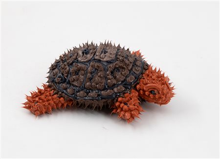 VITTORIO VALENTE (1954) - Tartaruga