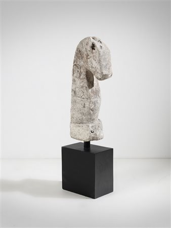 AUTORE NON IDENTIFICATO - *CAVALLUCCIO.