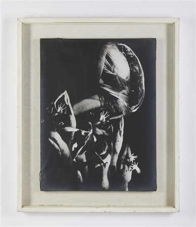 PINI DANIELE (n. 1995) - MEMORIA DELL'UMANO, VARIANTE 1.