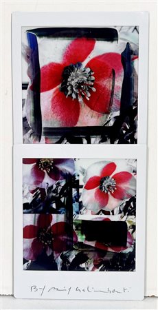 MAURIZIO GALIMBERTI, 7,3 X 15,5 cm, Titolo: "BiFlowers" Mosaico 2 Fujifilm...