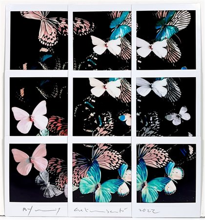 MAURIZIO GALIMBERTI, 21 X 22,5 cm, ”Butterfly” Mosaico Fuji Instax Square...