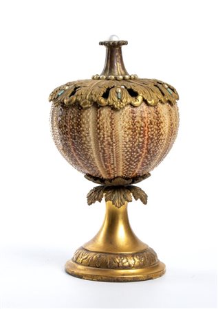  Riccio di mare  - Europa, XIX secolo