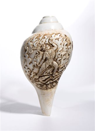  Conchiglia Sankha - India, XVIII-XIX secolo 