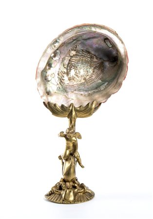  Conchiglia - Europa, XIX secolo