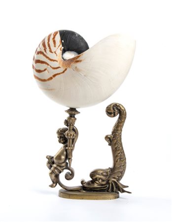  Coppa con nautilus - Europa, XIX secolo