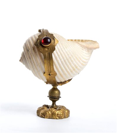  Conchiglia naturale - Europa occidentale, XIX secolo