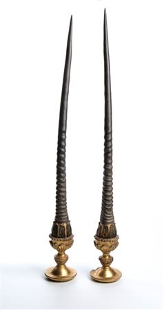  Corna di antilope - Italia o Germania, fine XVII - inizio XVIII secolo