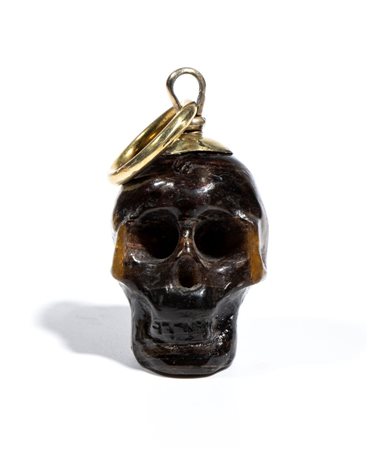  Teschio in tartaruga - Europa, XIX secolo