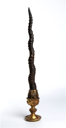  Corna di antilope - Italia o Germania, fine XVII - inizio XVIII secolo