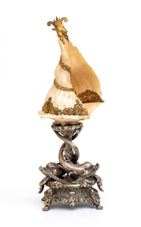  Conchiglia naturale  - Europa, XIX secolo