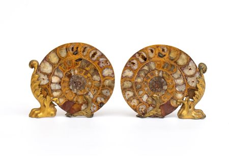  Coppia di ammoniti montate su basi in metallo dorato - Francia o Italia, XIX secolo
