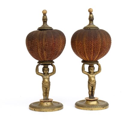  Coppia di ricci di mare - Francia o Italia, XIX secolo