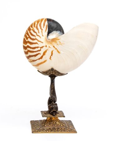  Nautilus montato su base in metallo - Europa, XIX secolo