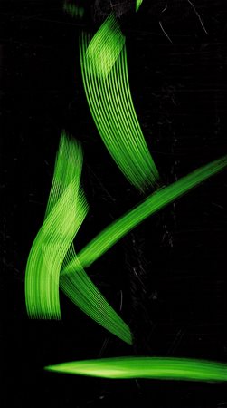 IVAN FALARDI "basic elements " 2014